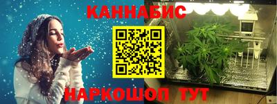 индика Партизанск