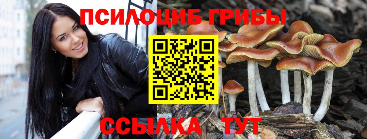 Псилоцибиновые грибы мицелий  Вход с VPN  Ржев 